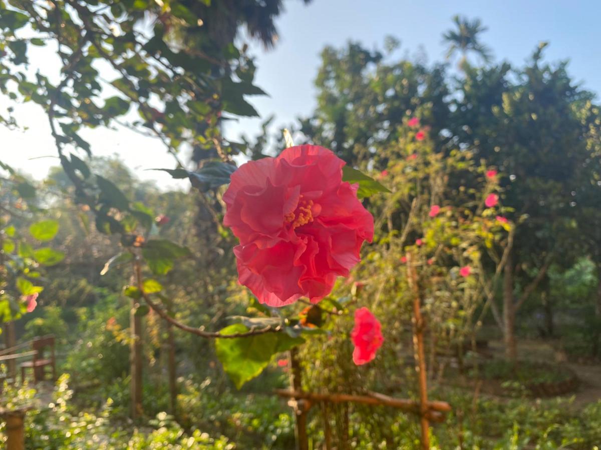 Muong Bi Homestay Hòa Bình Zewnętrze zdjęcie