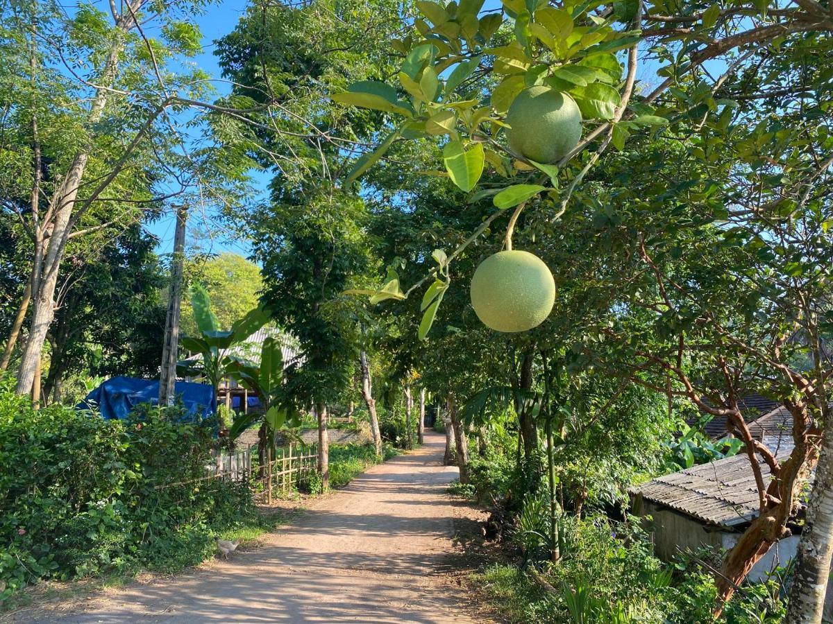 Muong Bi Homestay Hòa Bình Zewnętrze zdjęcie