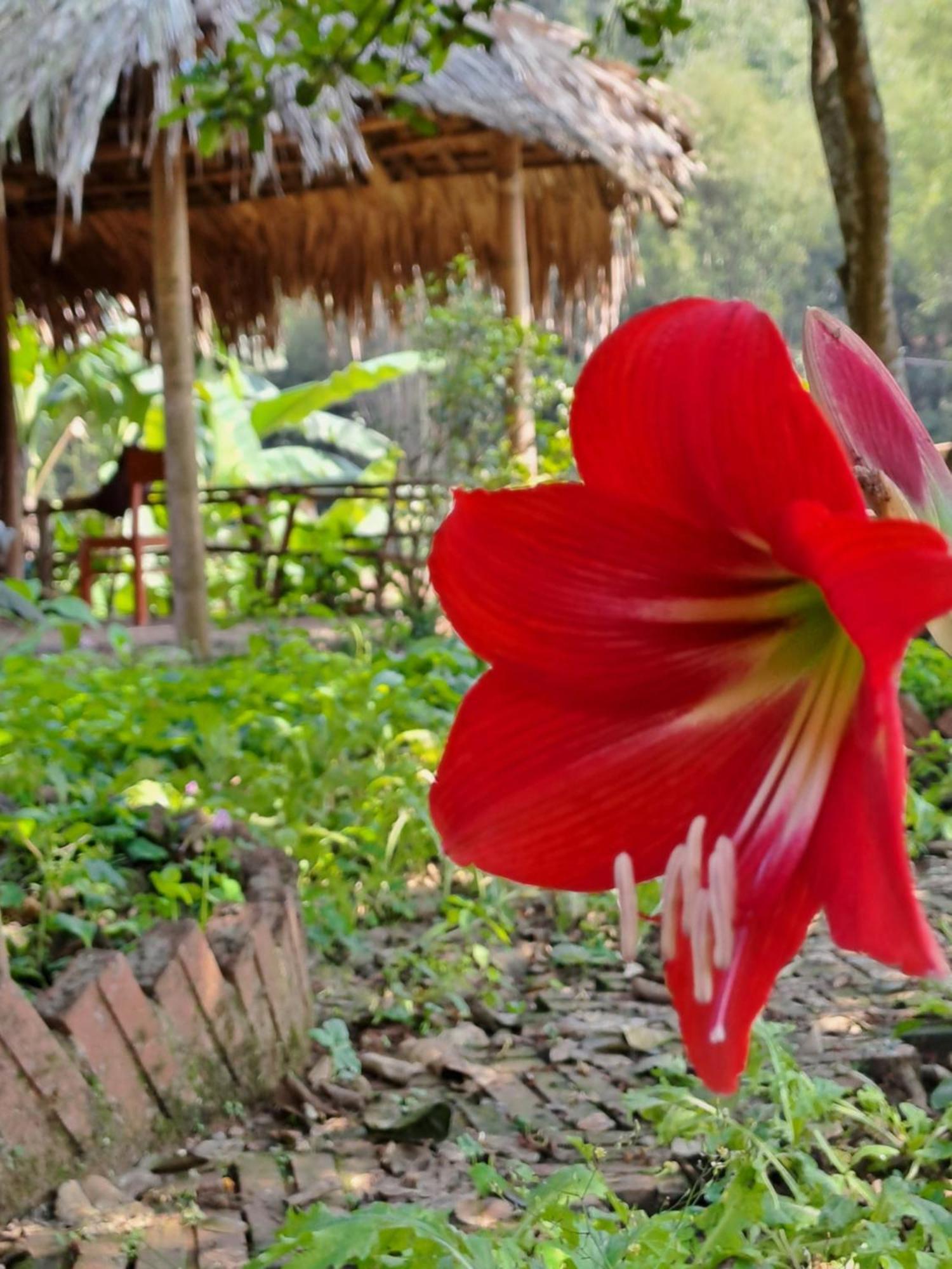 Muong Bi Homestay Hòa Bình Zewnętrze zdjęcie