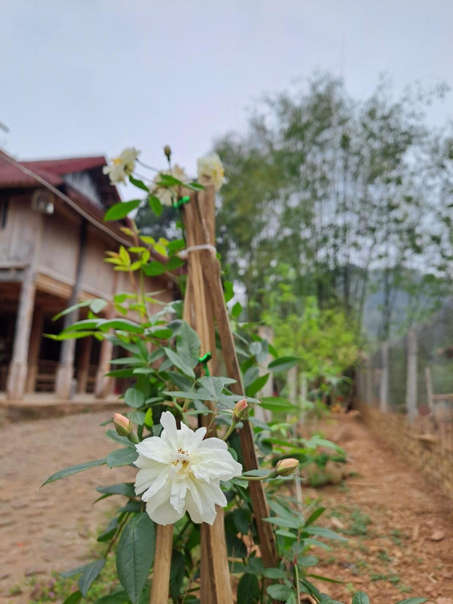 Muong Bi Homestay Hòa Bình Zewnętrze zdjęcie