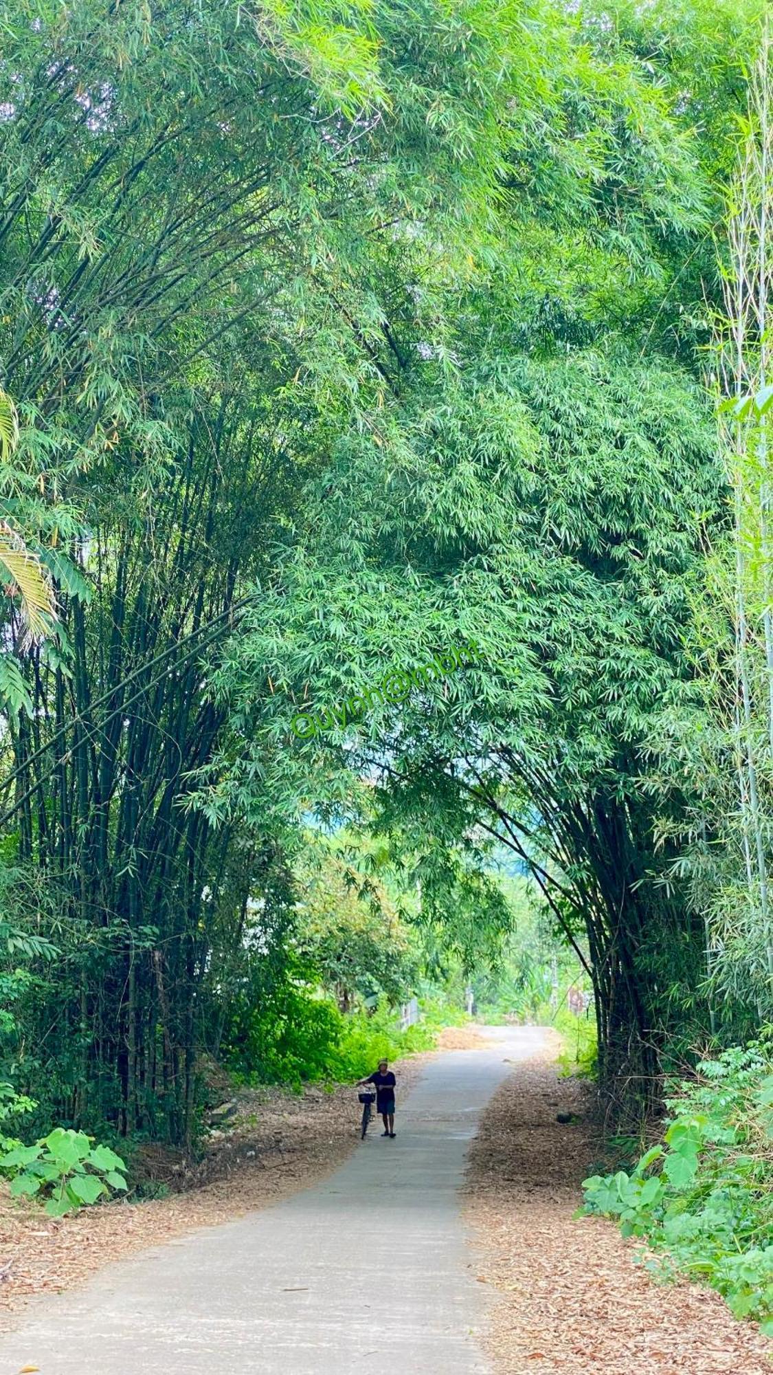 Muong Bi Homestay Hòa Bình Zewnętrze zdjęcie