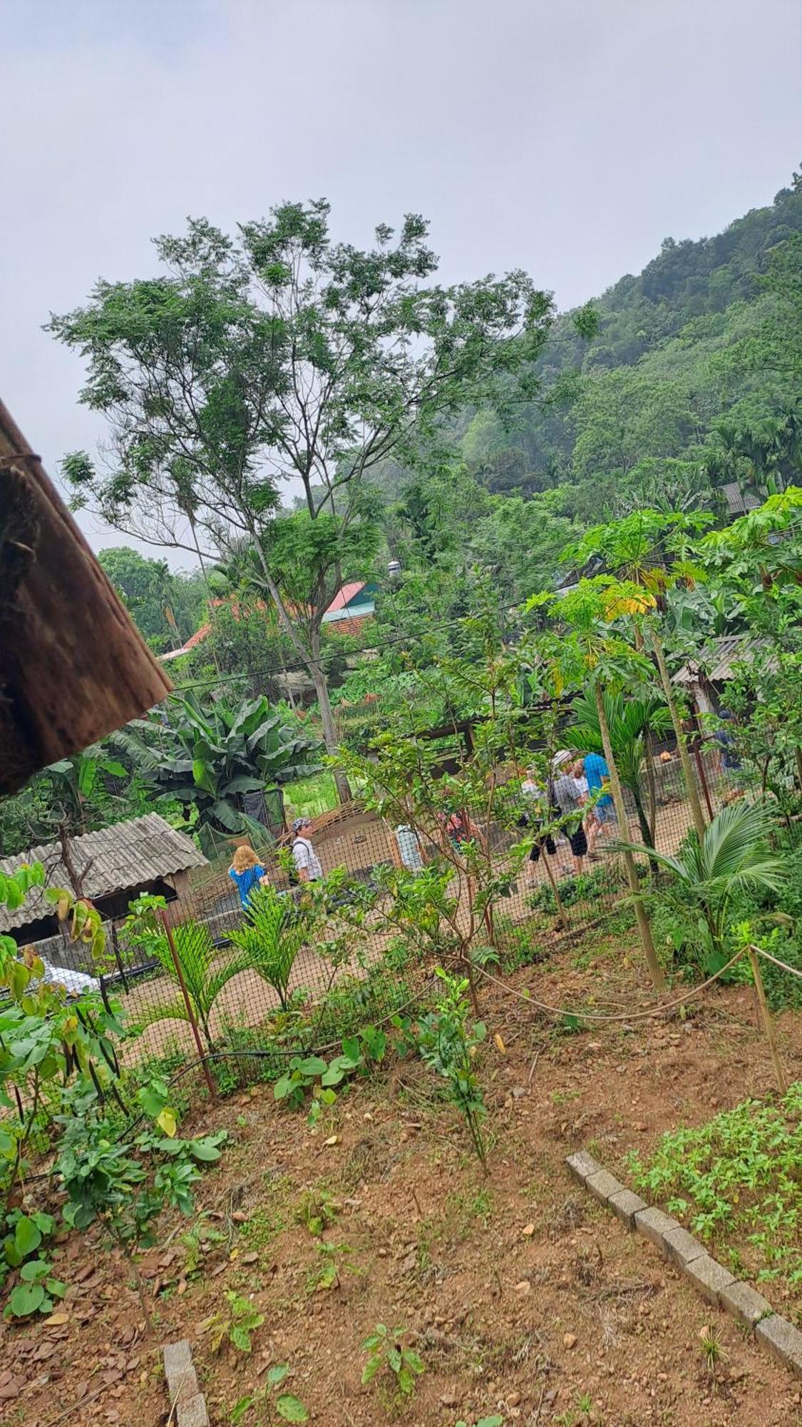 Muong Bi Homestay Hòa Bình Zewnętrze zdjęcie
